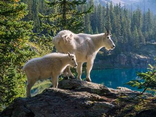 Homepage - Mother and Child