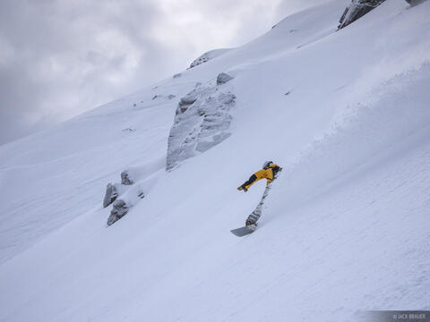Laub Shred