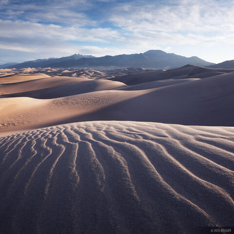 Morning in the Dunes