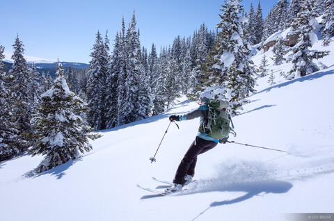 Fowler Hilliard Ski #5