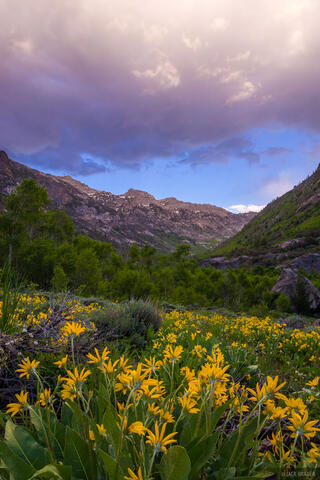 Lamoille Canyon Sunset
