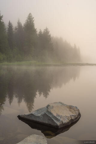 Trillium Fog