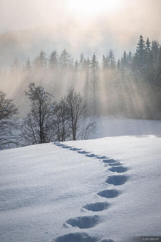 Ephemeral Tracks
