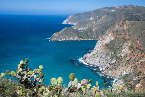 Trans Catalina Trail Again