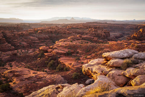 Between the Canyonlands