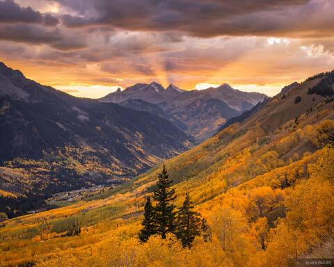 Ophir Gold