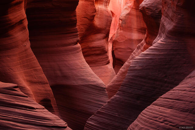 Red Folds