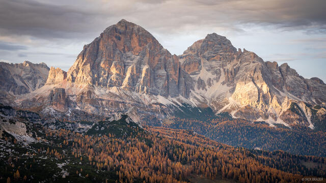 Tofana Autumn