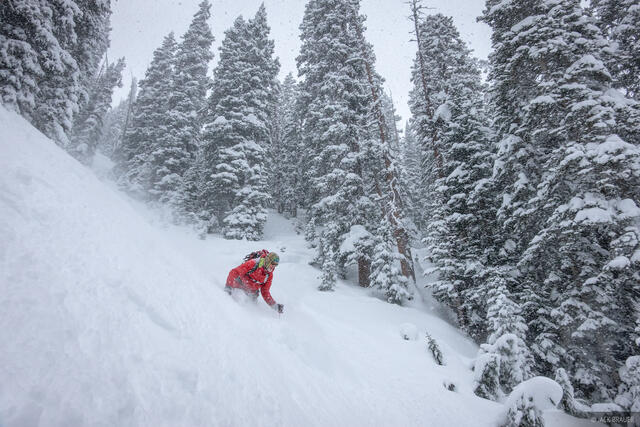 Powder Tom #2