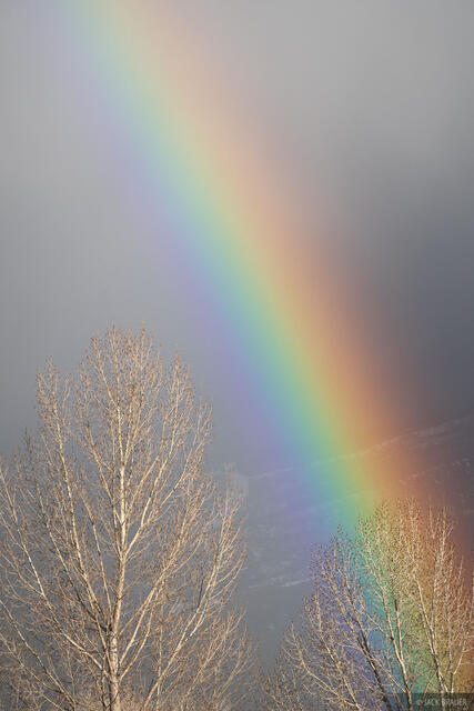 Winter Rainbow