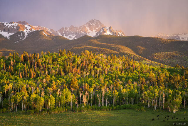 Sneffels Spring Showers