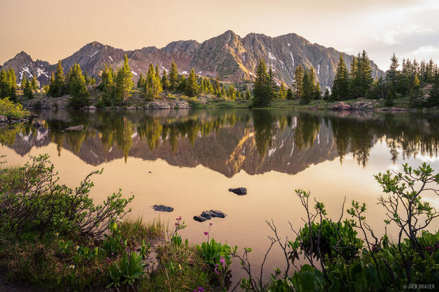 Golden Glow