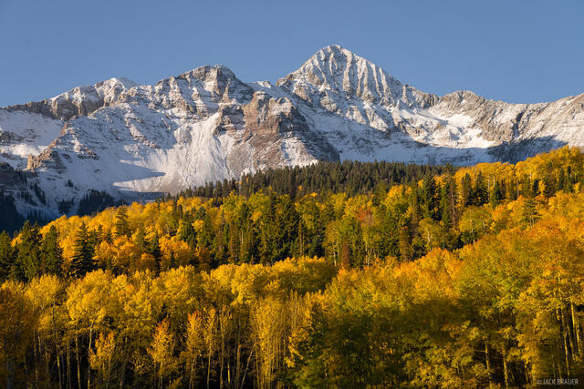 Wilson Peak Aspens