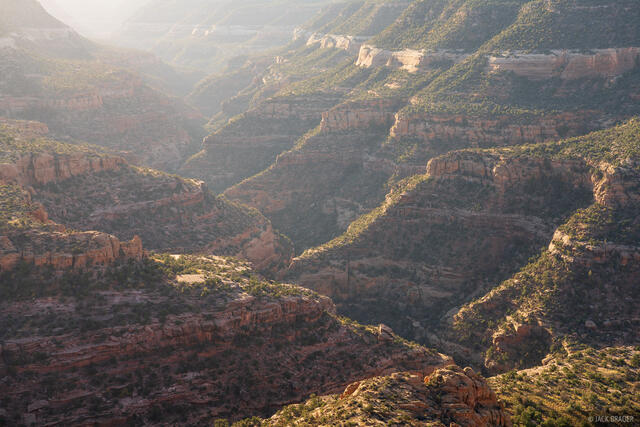 Canyon Morning Light