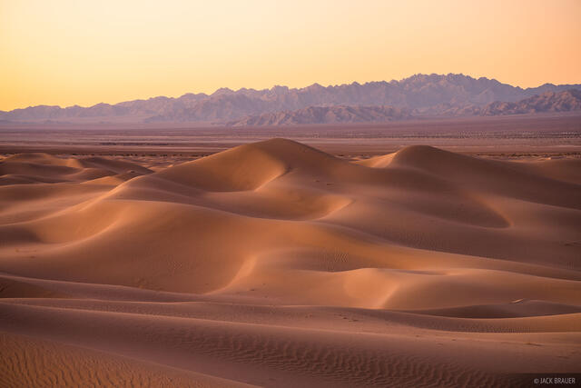 Dunes and Coxcomb