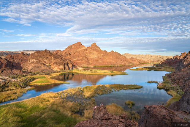 Havasu Lagoon