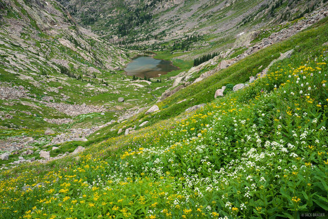 Flower Valley