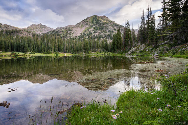 Pitkin Morning