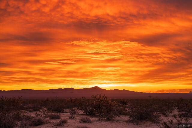 Fiery Chemehuevi Sunrise