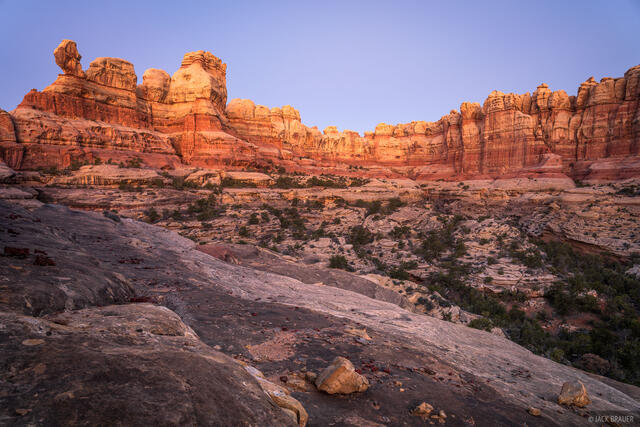Needles Dawn Glow