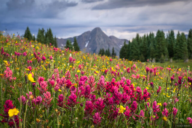 Paintbrush Peak