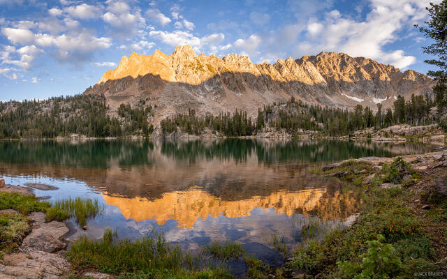 Serrate Reflection