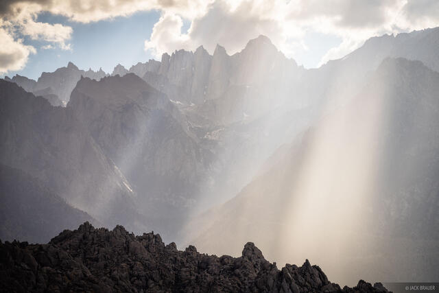 Whitney Sunbeams