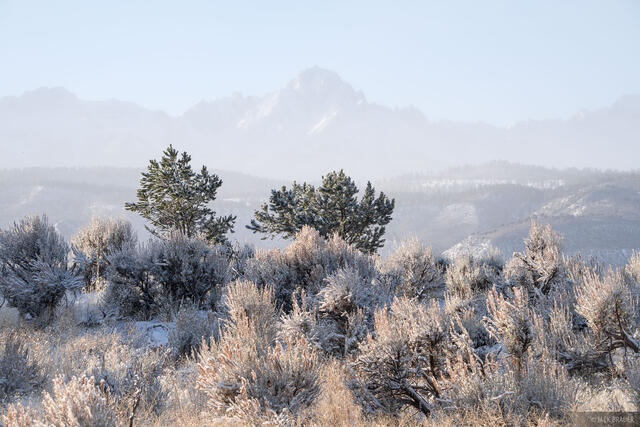 Sneffels Frost Haze