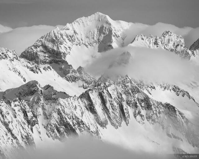Großer Löffler B&W