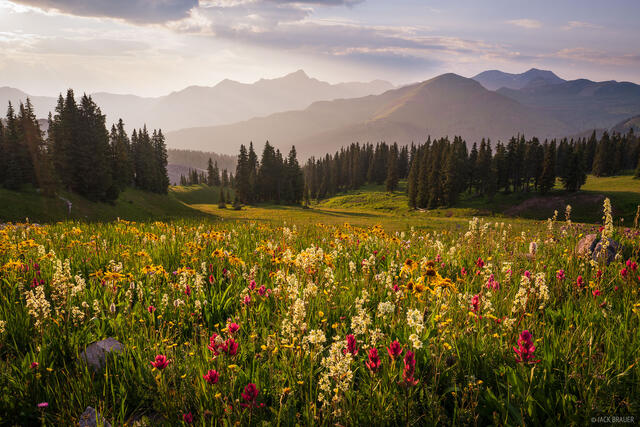 Colorado Bouquet