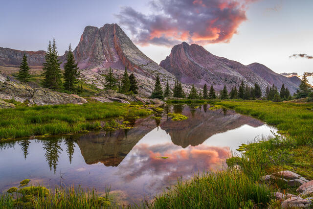 Wham Reflection