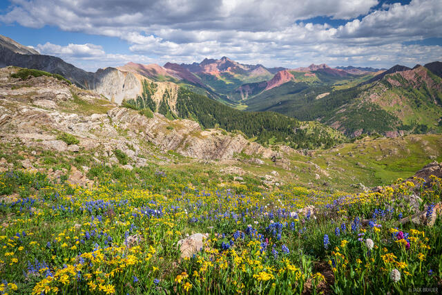 Maroon Bells Meadows