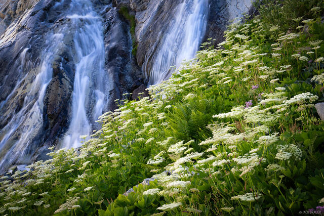 Flowers and Falls