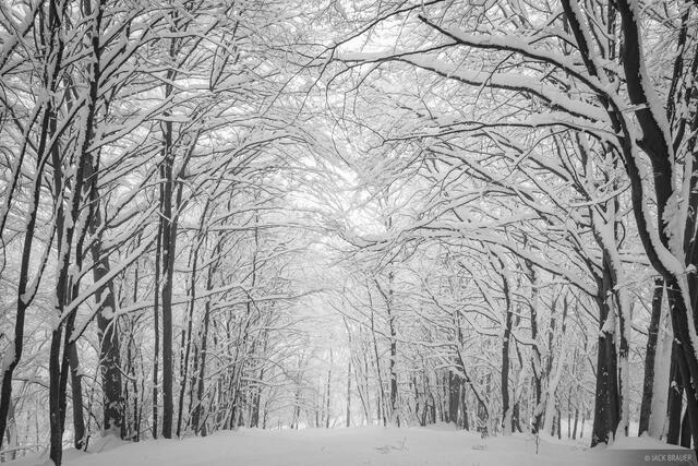 Powder Avenue B&W