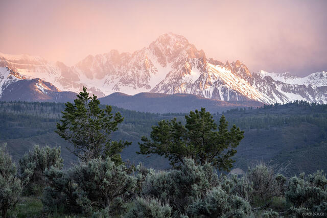 Sneffels Spring Light