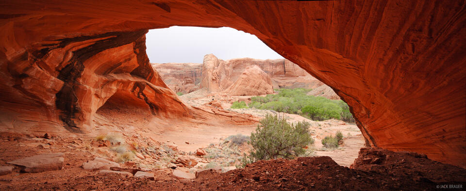Coyote Alcove