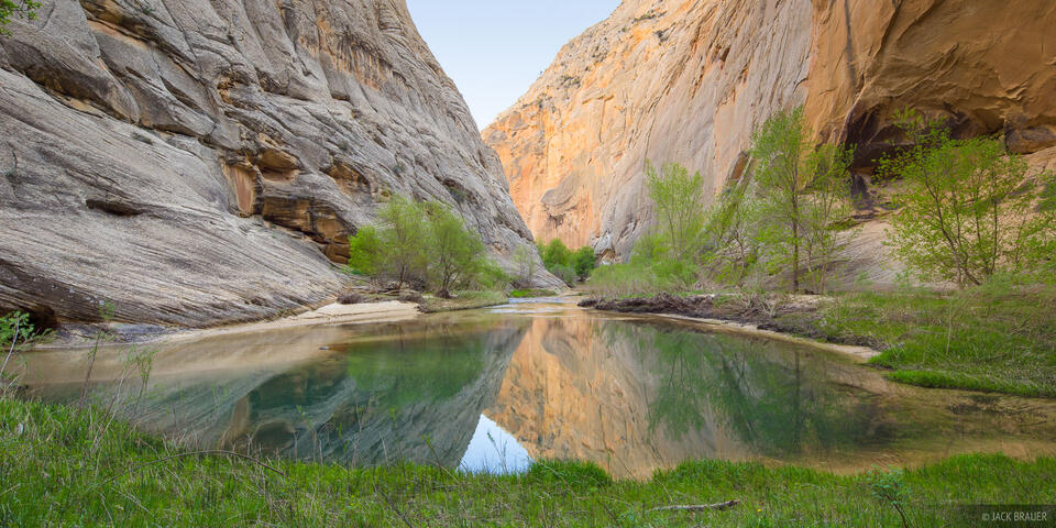 Death Hollow Pond