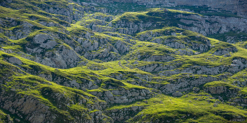 Grassy Steps