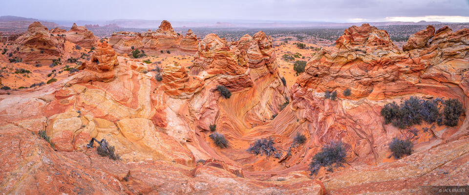 Candyland Panorama