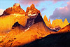 Art Wolfe