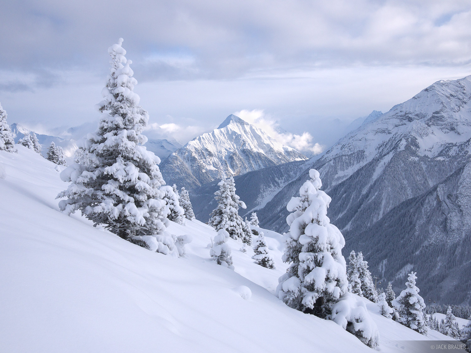 Snowy Mountains With Trees Snowy Mountains With Trees