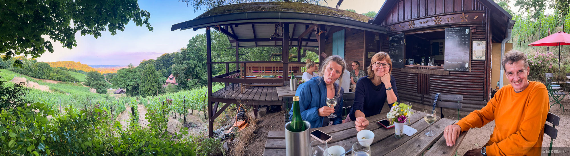 Someone's getting a little tipsy at a vineyard above Dresden, Germany.