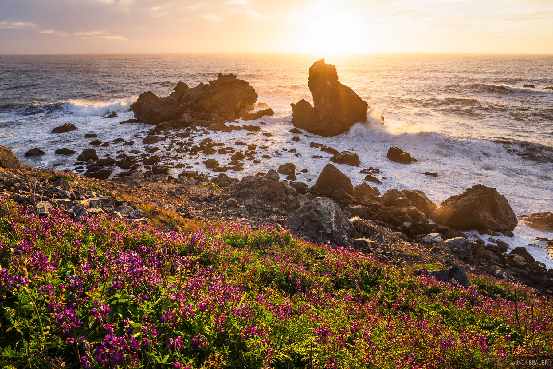 Sue-Meg Sunset Wildflowers and sunset at Sue-meg State Park along the northern California coast.
