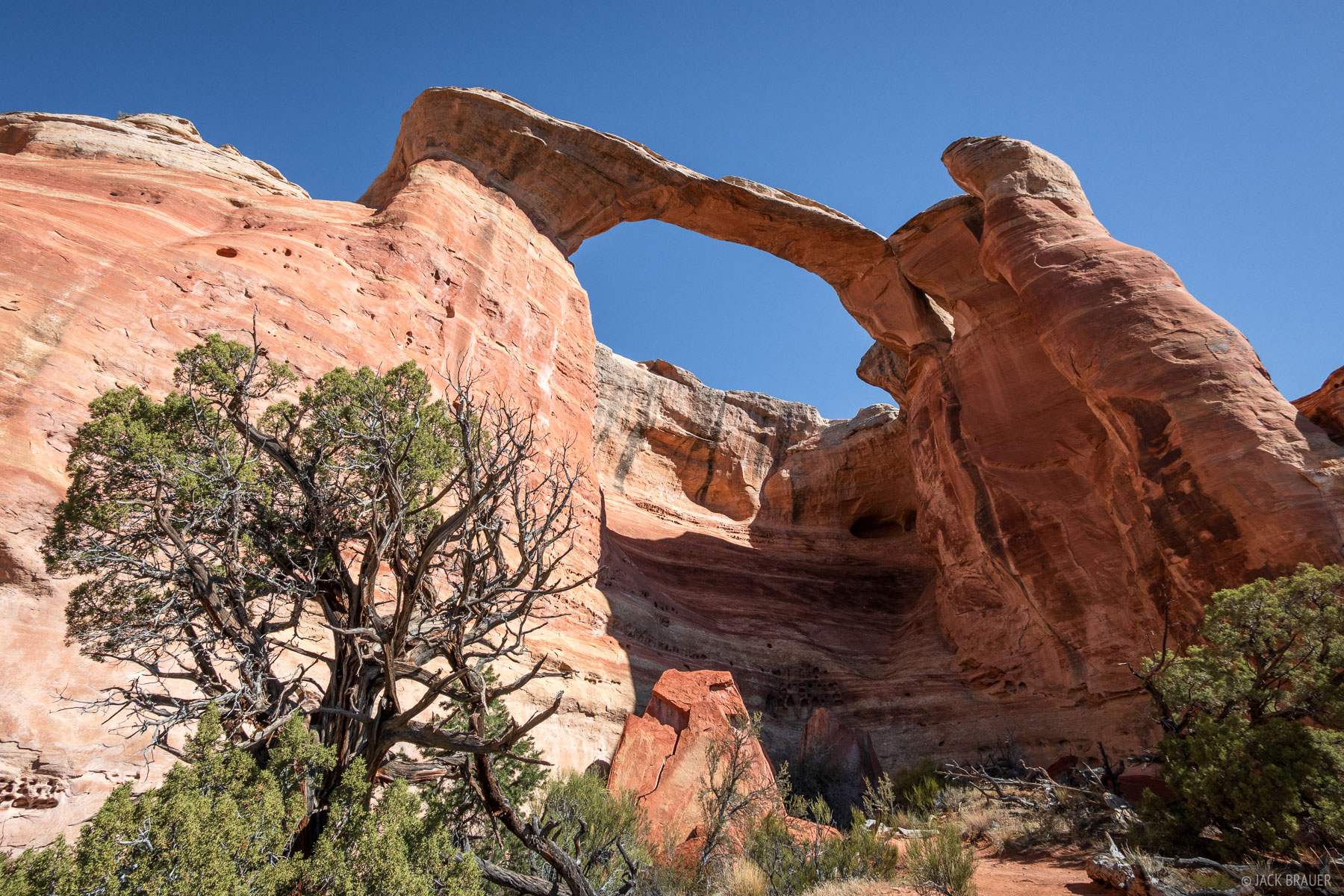 Centennial Arch Looking up at Centennial Arch (also known as East Rim Arch) from below.