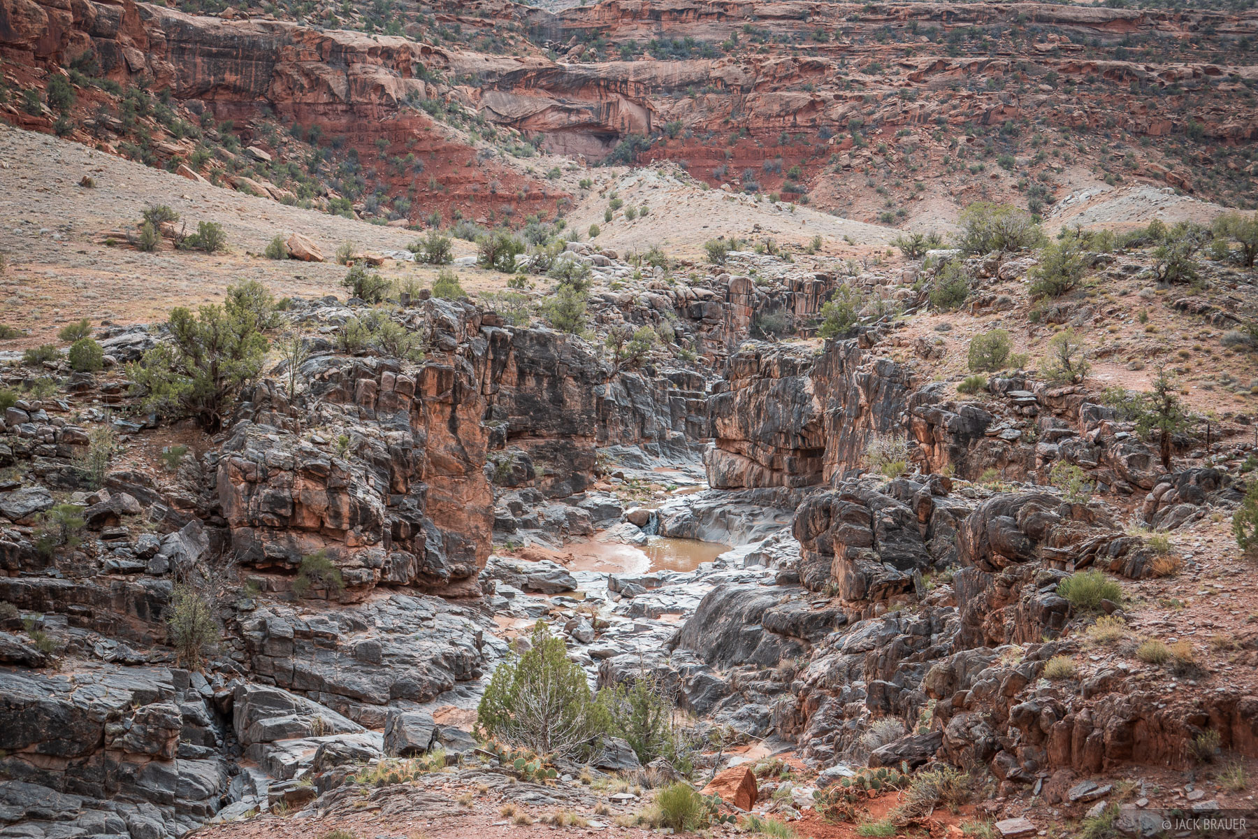 Big Dominguez Canyon Granite A rugged portion of the Big Dominguez Canyon. One unique geologic feature of many of the canyons of the Uncompahgre Plateau is...
