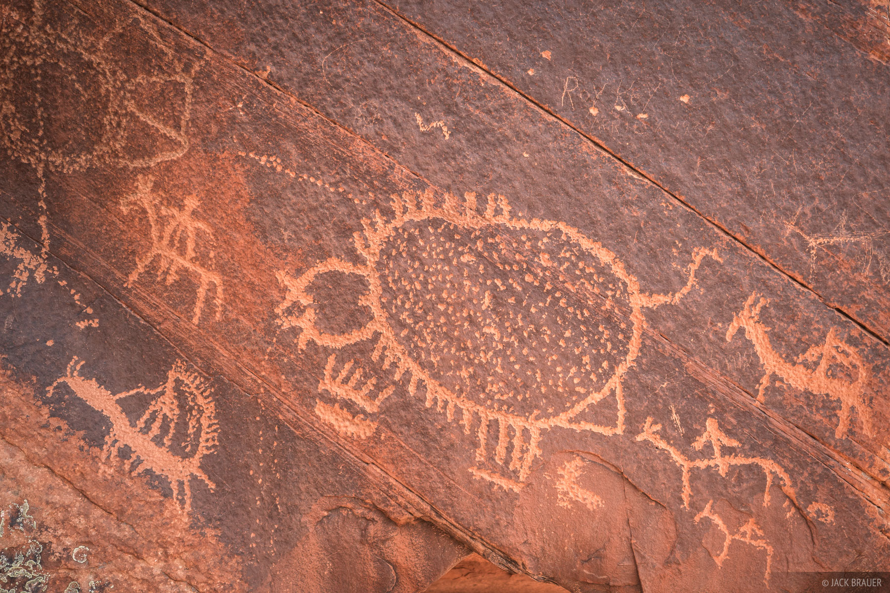 Big Dominguez Petroglyphs 2 Petroglyphs in Big Dominguez Canyon depict horseback riders around a mysterious shape, perhaps a prickly pear cacti?
