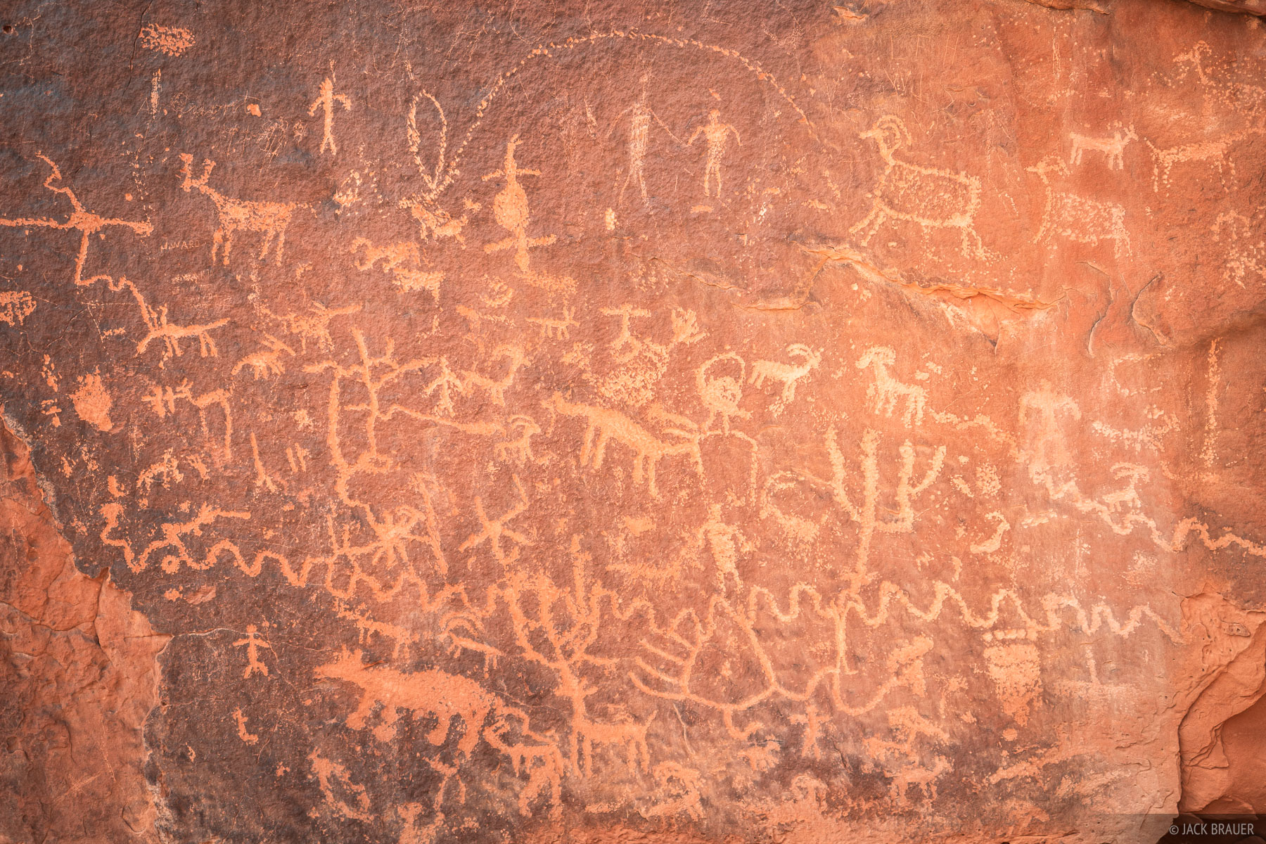 Big Dominguez Petroglyphs Petroglyphs in Big Dominguez Canyon depict bighorn sheep, bear and bear paws, and people, amongst other symbols.